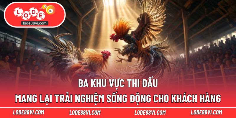 Ba khu vực thi đấu mang lại trải nghiệm sống động cho khách hàng