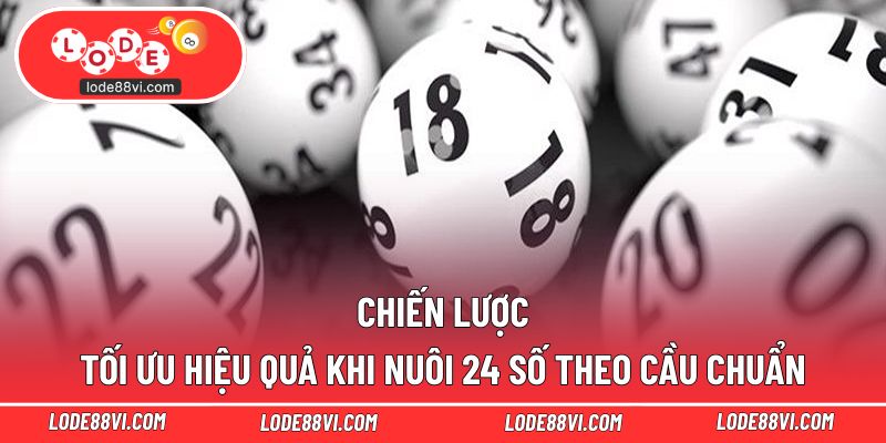 Chiến lược tối ưu hiệu quả khi nuôi 24 số theo cầu chuẩn