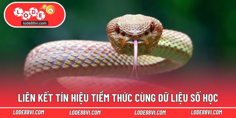 Liên kết tín hiệu tiềm thức cùng dữ liệu số học