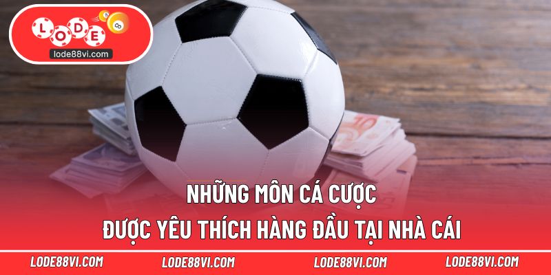 Những môn cá cược được yêu thích hàng đầu tại nhà cái