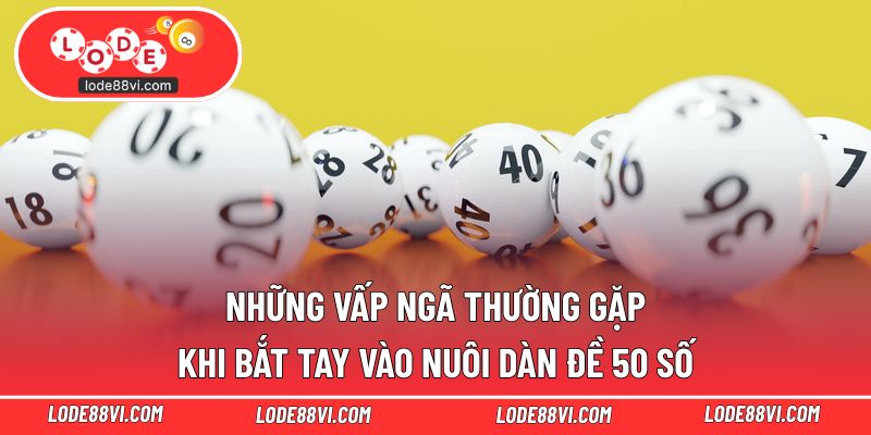 Những vấp ngã thường gặp khi bắt tay vào nuôi dàn đề 50 số