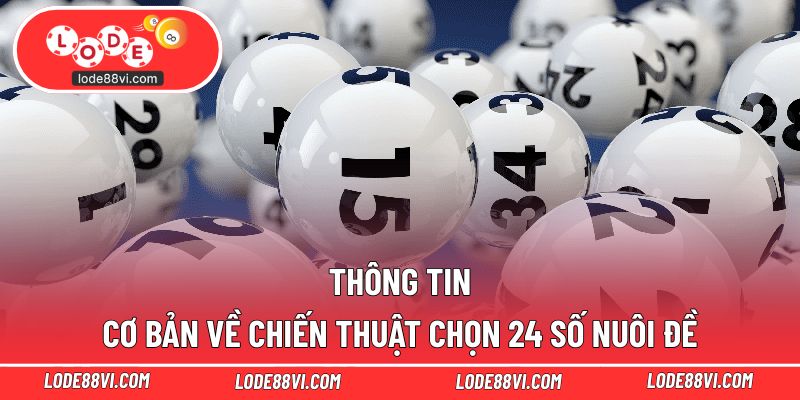 Thông tin cơ bản về chiến thuật chọn 24 số nuôi đề