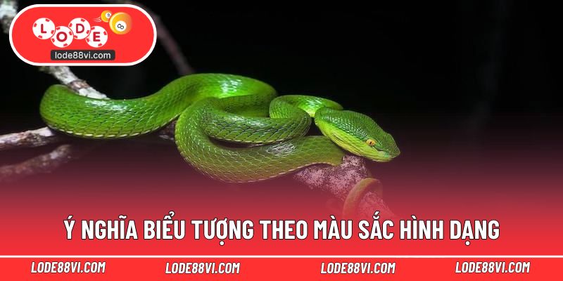 Ý nghĩa biểu tượng theo màu sắc hình dạng